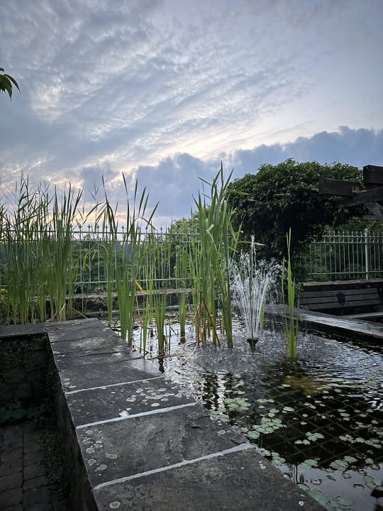 Gartenanlage Hotel Brunnenhaus Schloss Landau