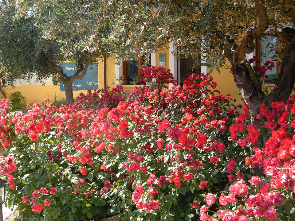 Giardino B&B Mariposa