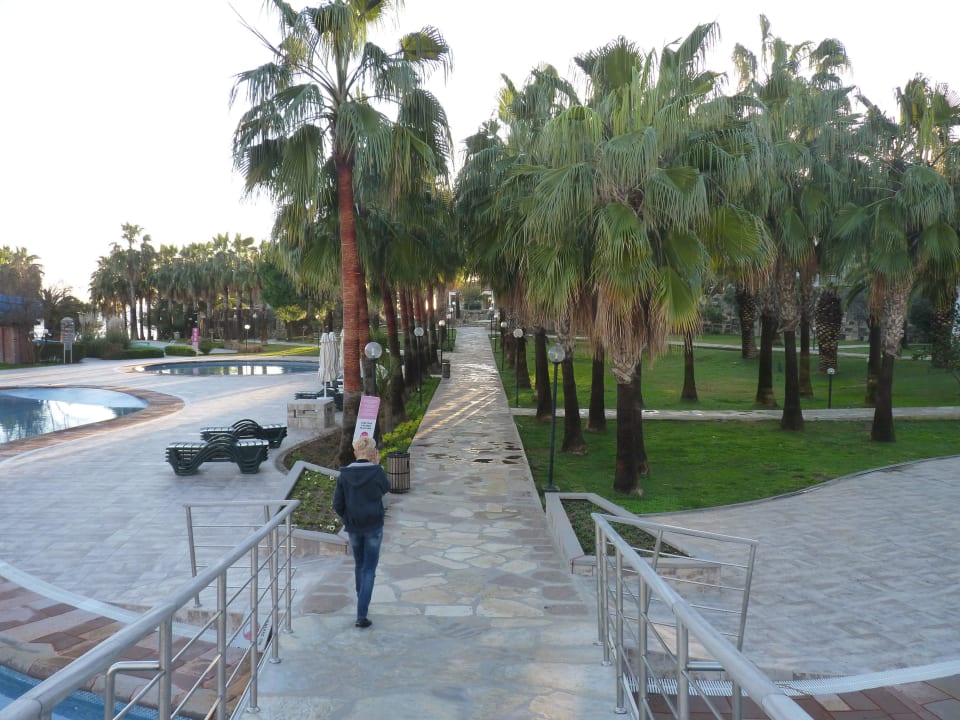 Gartenanlage Arum Barut Collection