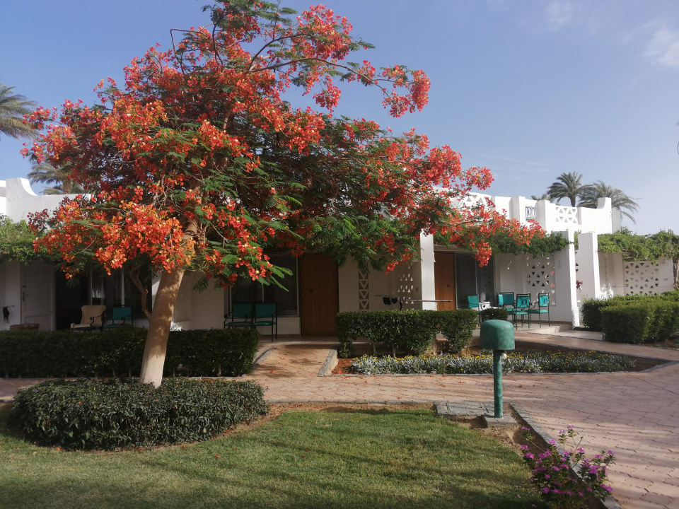 Garten Shams Safaga Resort
