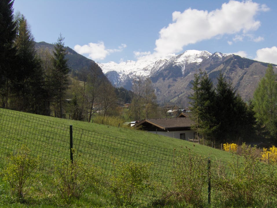 Ausblick Apartment AvenidA Residenz an der Burg