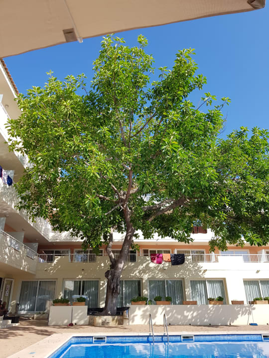 Ausblick THB Dos Playas - Adults only