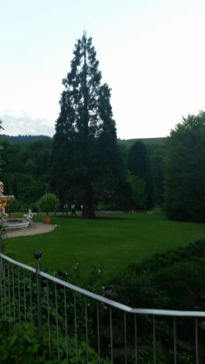 Garten Hotel Restaurant Rebstock Durbach