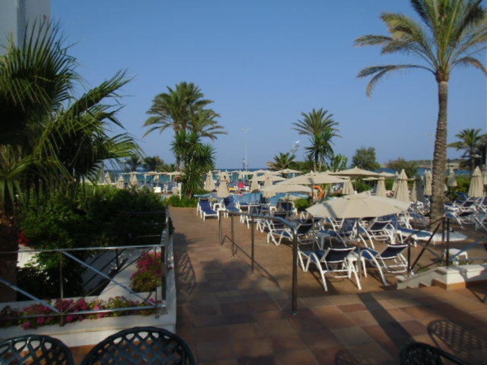 Pool Hipotels Hipocampo Playa