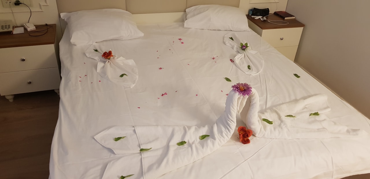 Zimmer Well Palace Side