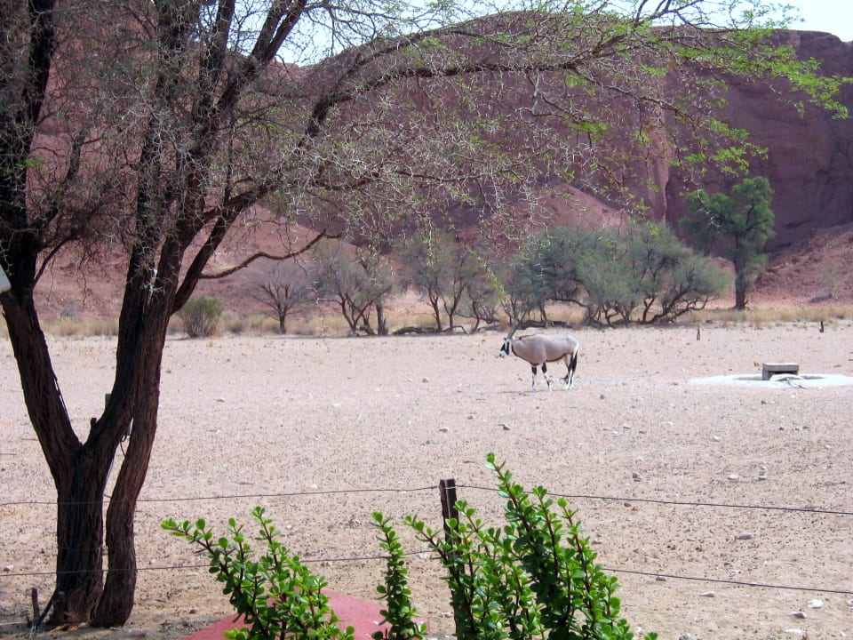 Außenansicht Namib Desert Lodge