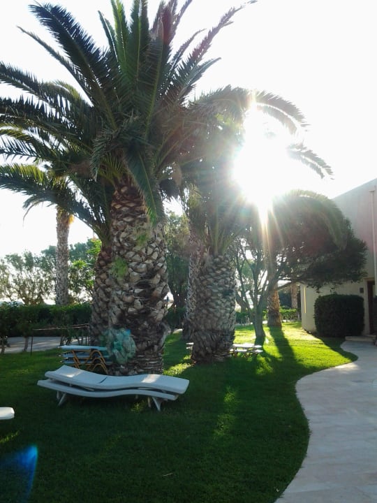 Liegewiese  Phãea Cretan Malia