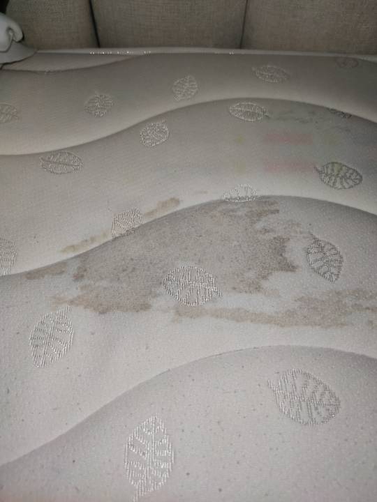 Zimmer Sapa Clover Hotel