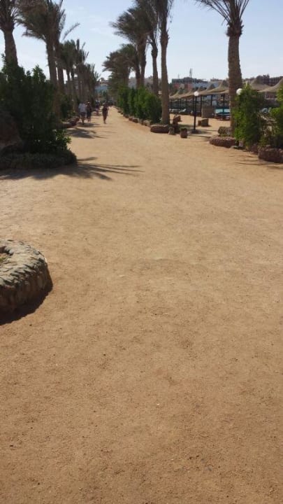 Weg zur Marina und Riff Arabia Azur Resort