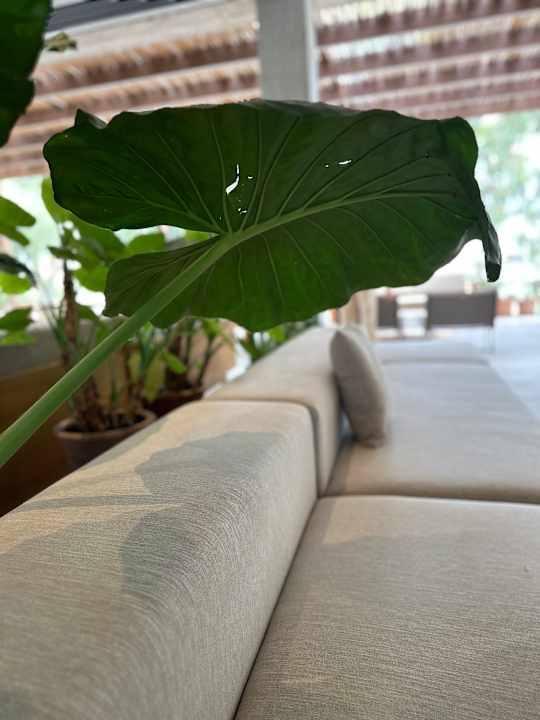 Zimmer Theros All Suite Hotel - Adults Only