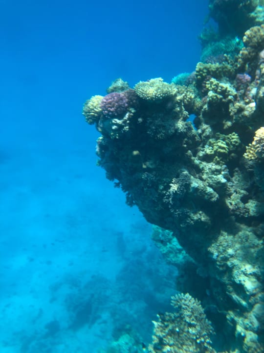 Sport & Freizeit Hotel Gorgonia Beach Resort