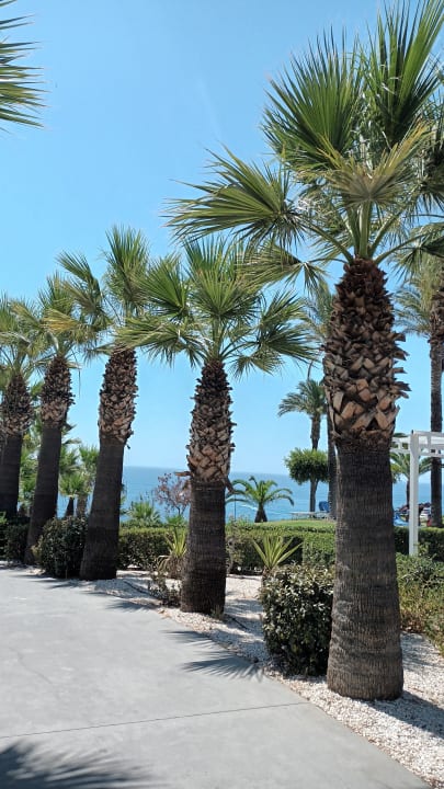 Gartenanlage Rodos Princess Beach Hotel & Spa