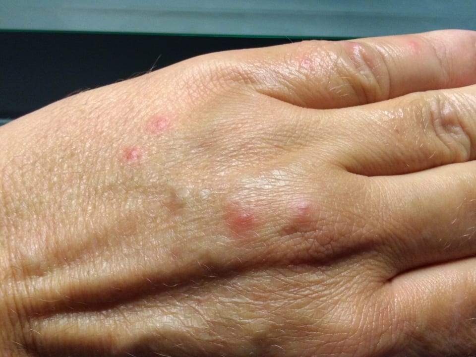 Zimmer Steigenberger Hotel Bad Homburg