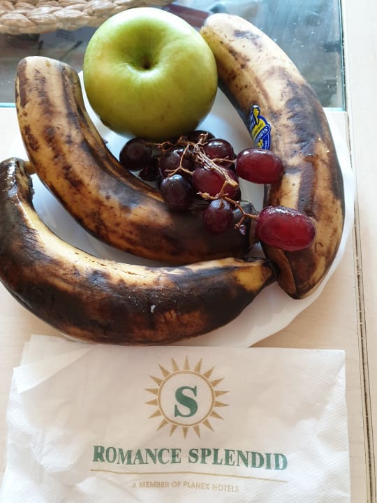 Gastro Romance Splendid and SPA Hotel