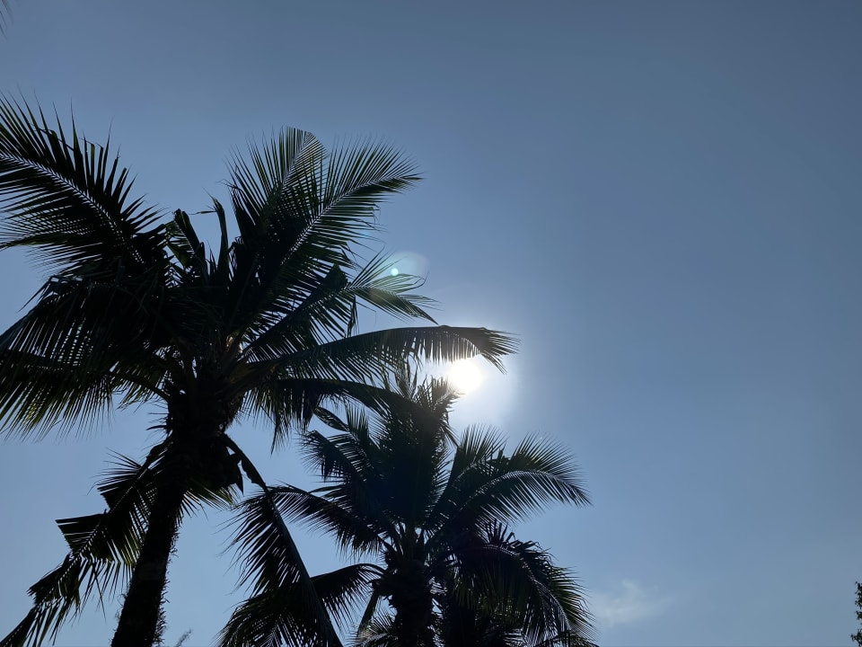 Gartenanlage Seaview Khao Lak Resort