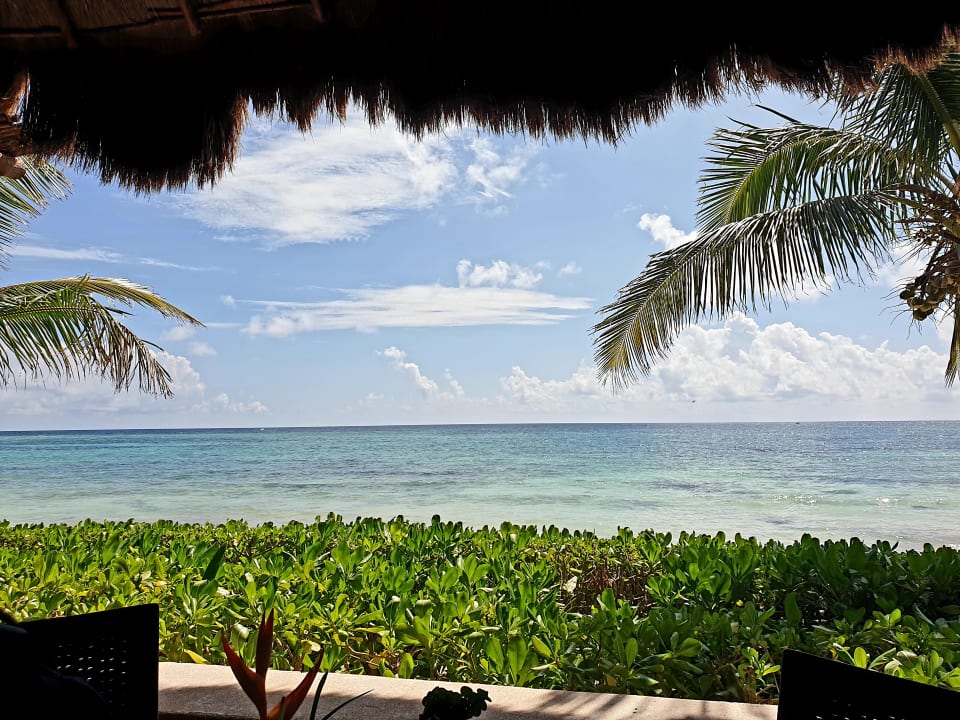 Ausblick Akumal Bay Beach & Wellness Resort