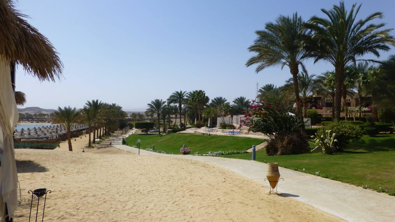 Blick auf Garten und Strand Steigenberger Coraya Beach - Adults only