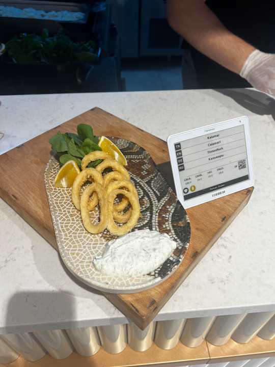 Gastro Seashell Vega