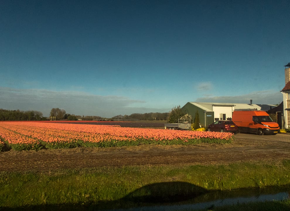 Ausblick Stayokay Noordwijk