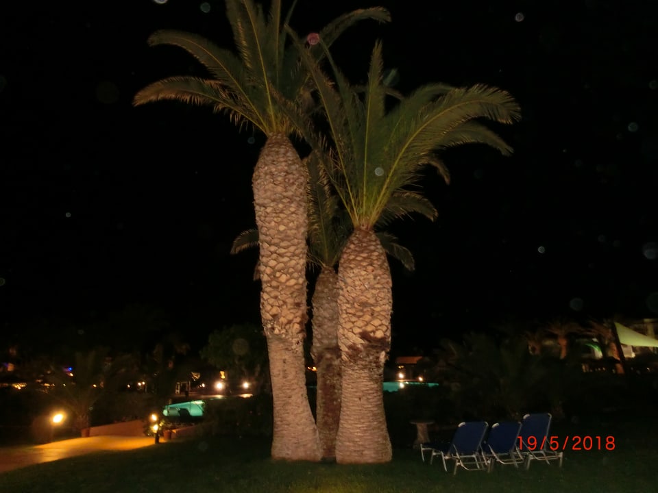 Gartenanlage Anissa Beach & Village