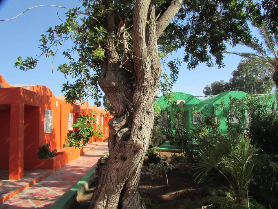 Bungalowanlage Samira Club