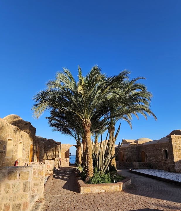 Gartenanlage Mövenpick Resort El Quseir