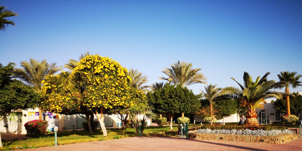 Ausblick Desert Rose