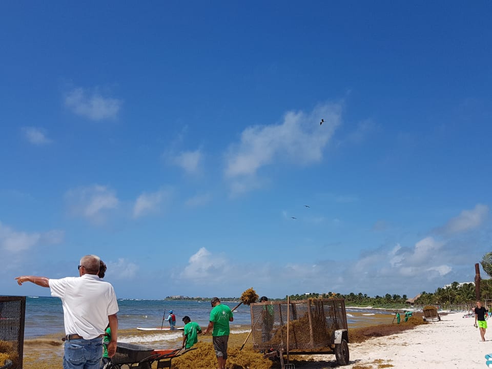Strand Akumal Bay Beach & Wellness Resort