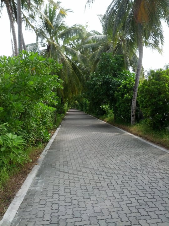 Wege auf der Insel Villa Park Sun Island