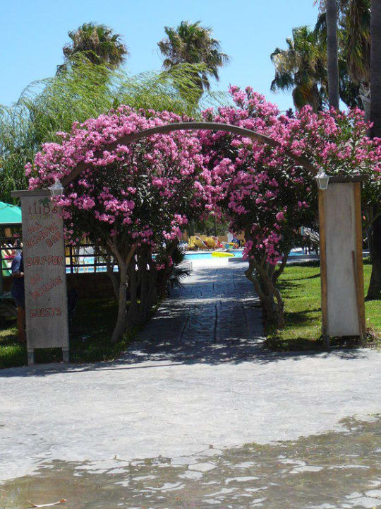 Weg zum AI Pool Ilios K Village Resort