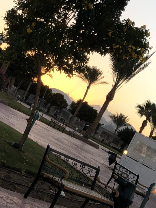 Außenansicht Desert Rose