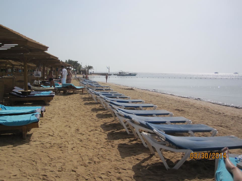 Утро на пляже SUNRISE Royal Makadi Resort