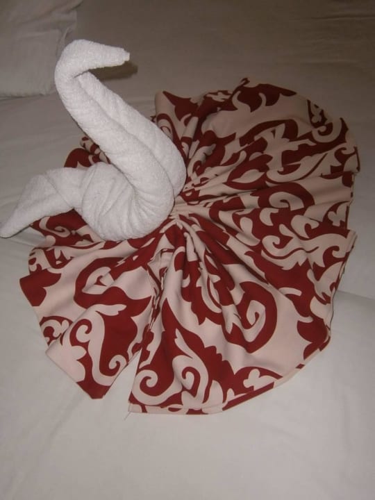 Сюрприз от обслуги Seagull Beach Resort