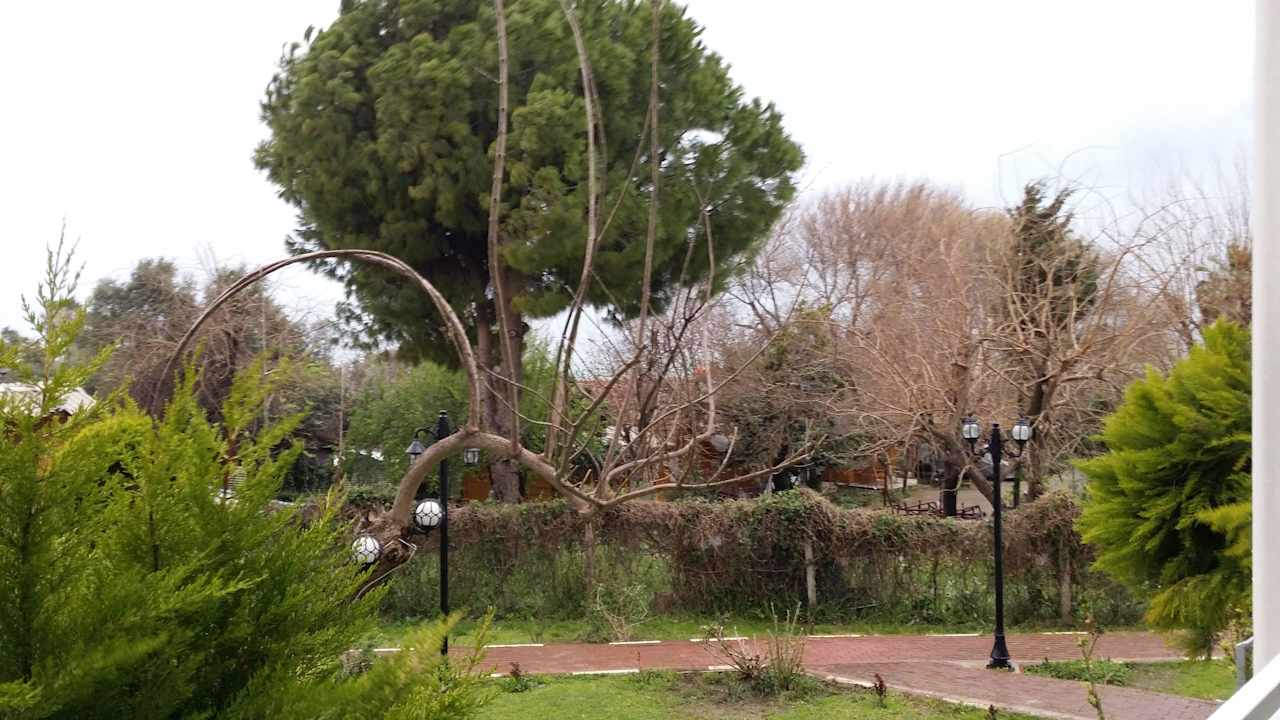 Side miami beach Side Miami Beach