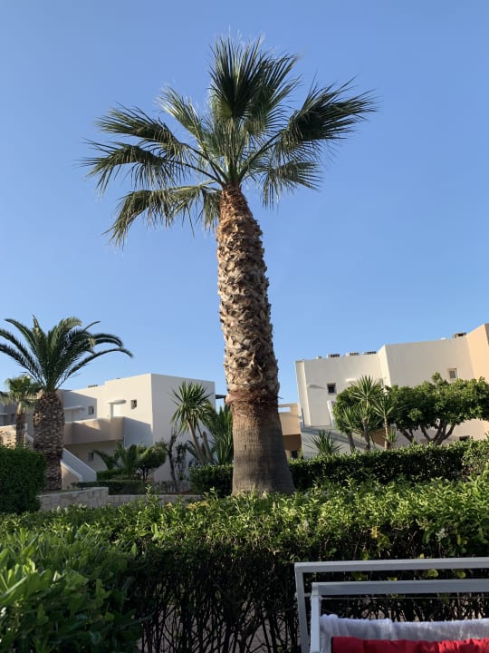 Außenansicht Grand Hotel Holiday Resort