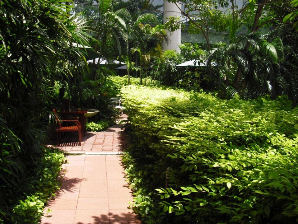 Gartencafe/Raucherecke Century Park Hotel Century Park