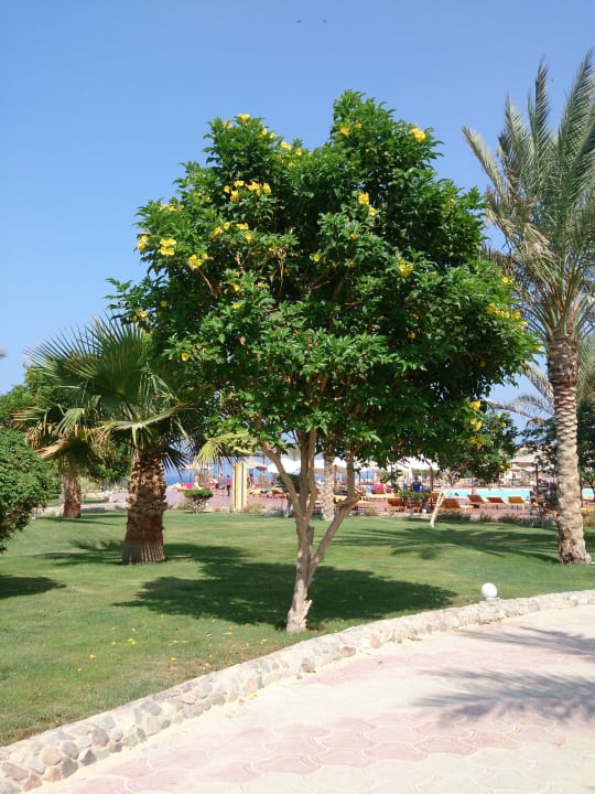 1 Three Corners Sea Beach Resort