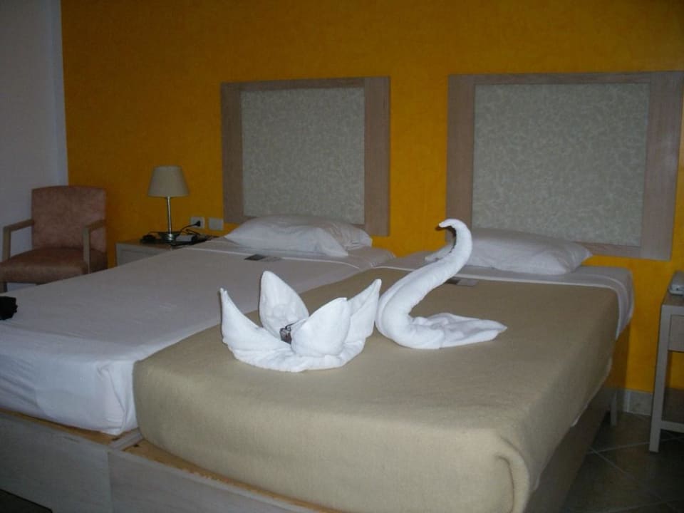 Pokoj Hotel Gorgonia Beach Resort