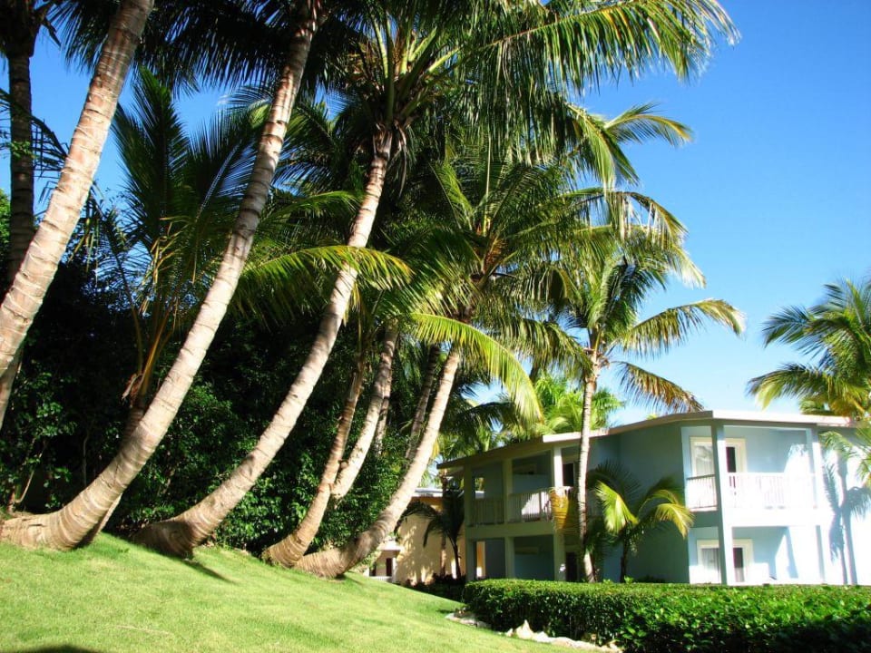 Wohngebäude mit Garten Playabachata Hotel