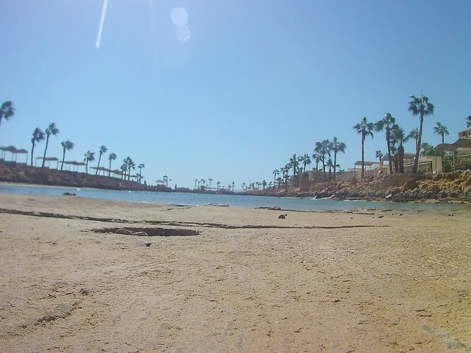 Strand Pickalbatros Citadel Resort