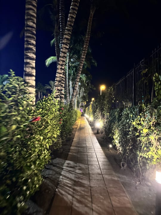 Gartenanlage Maspalomas Princess & Tabaiba Princess