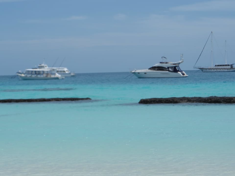 Strand vor dem Zimmer Kuramathi Maldives