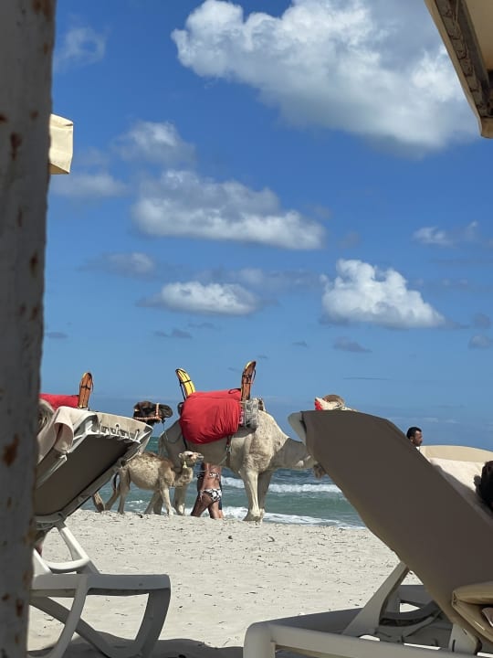 Strand Aldiana Club Djerba Atlantide