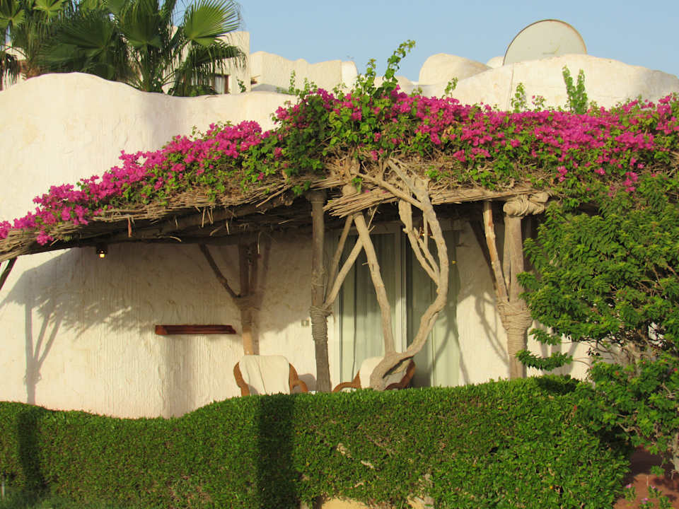 Gartenanlage Sharm Club Beach Resort