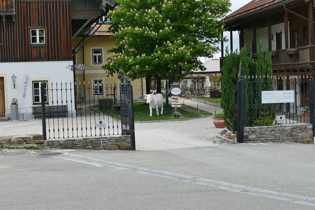Außenansicht Hotel & Restaurant ReiterAlm