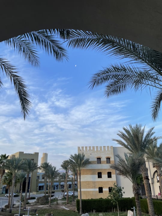 Ausblick Pickalbatros Palace Hotel-Port Ghalib
