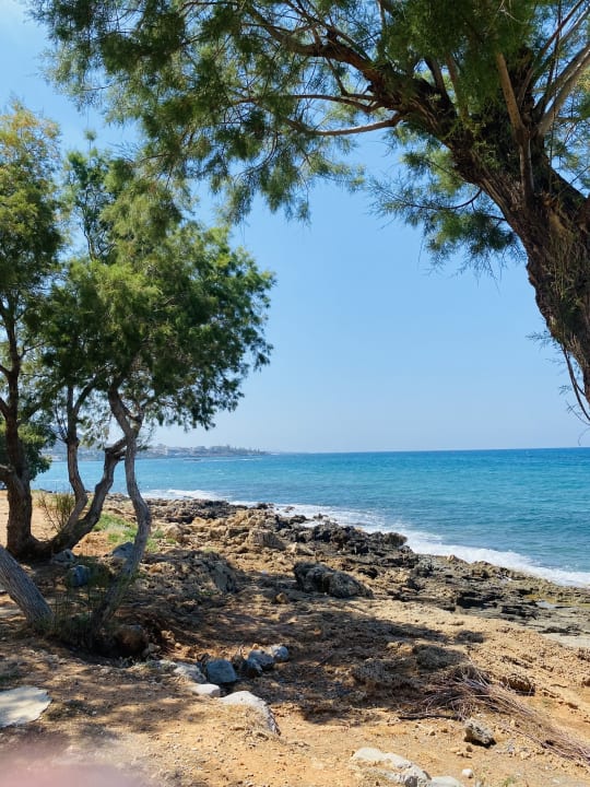 Strand Alexander Beach Hotel & Village Resort