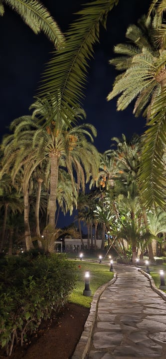 Gartenanlage Hotel Riu Palace Oasis