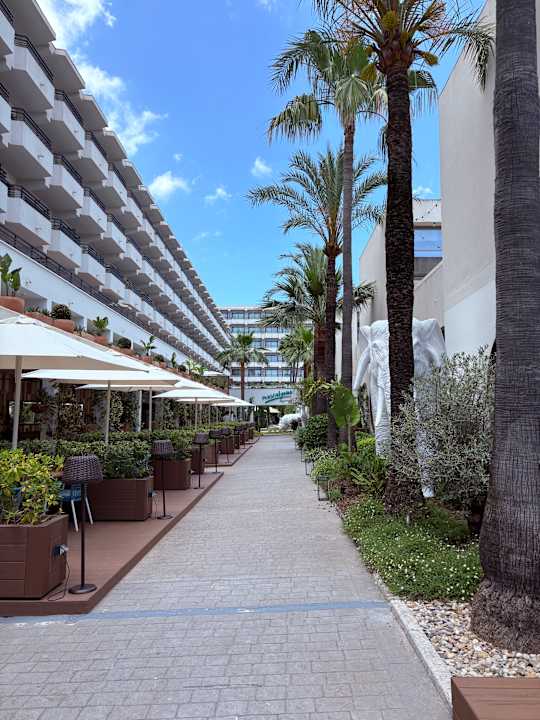 Lobby INNSiDE Alcudia