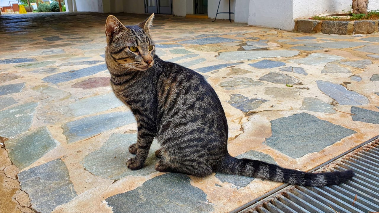 Sonstiges Creta Maris Resort